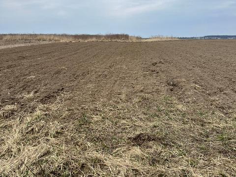 ділянка за адресою с. Малі Підліски, Мирна, 15
