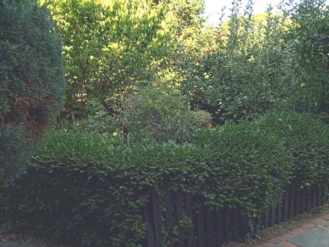 дом по адресу Амундсена 2-ой пер., 5/4