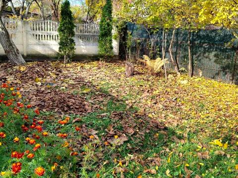 будинок за адресою Київ, Садова