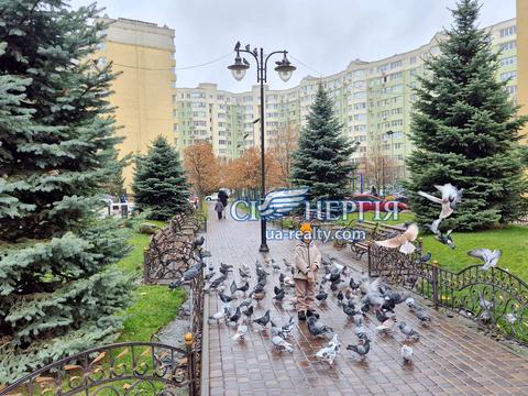 квартира по адресу Миру ул., 36