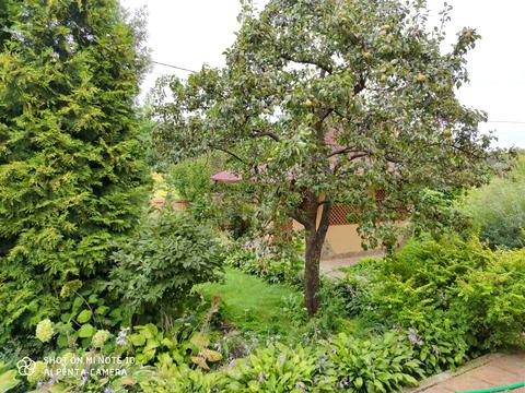 участок по адресу Хутірська