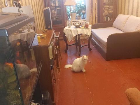 квартира по адресу Княжеская ул. (Князівська), 13