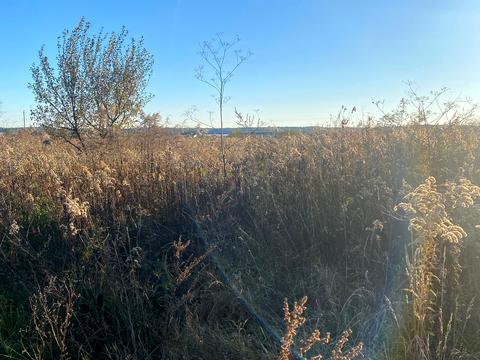 участок по адресу 