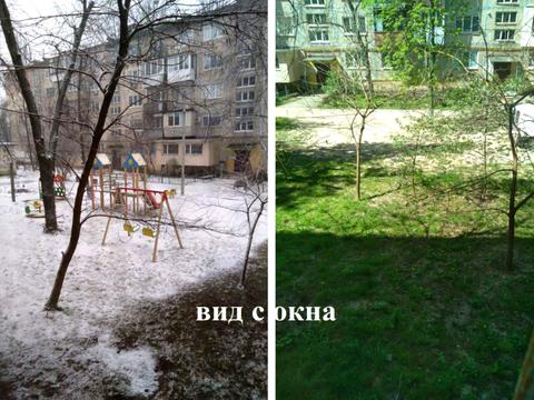 квартира за адресою Петра Курінного вул. (Комісара Рикова), 5