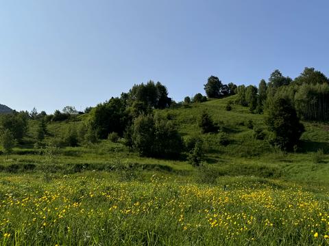 участок по адресу 