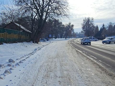 будинок за адресою Незалежності вул., 166