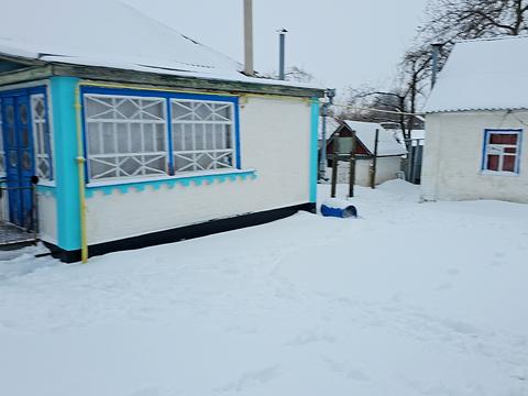 дом по адресу роговця