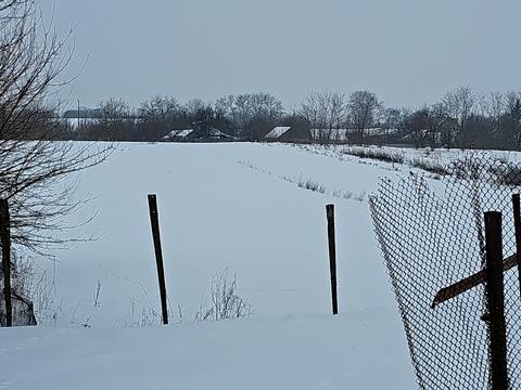 дом по адресу роговця