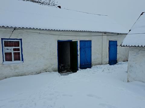 дом по адресу роговця