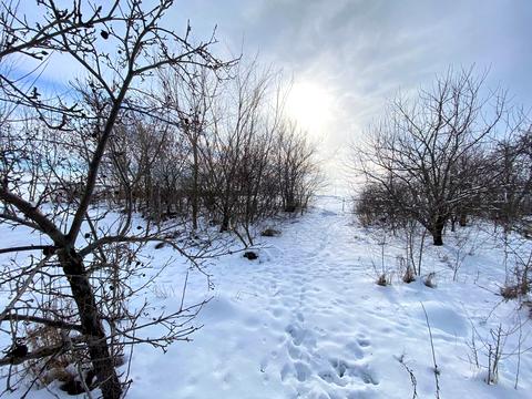 дом по адресу Центральна