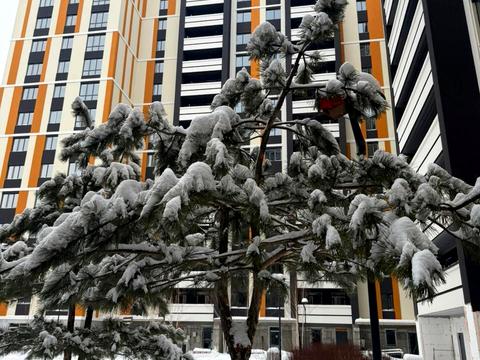 квартира по адресу 8 Березня ул., (Будинок)