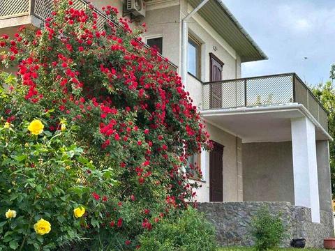 дом по адресу Центральная ул.