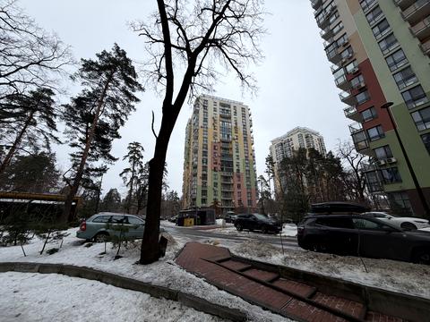 квартира за адресою Анатолія Петрицького вул., 17