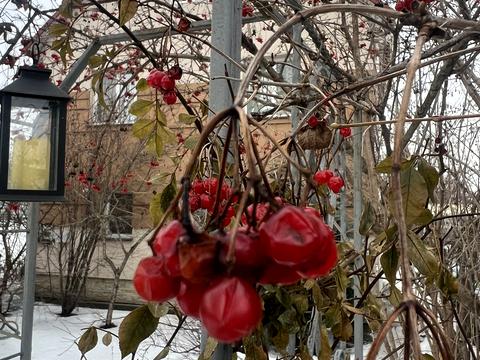 дом по адресу Кучанська