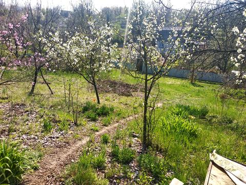 будинок за адресою Ореховая