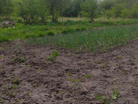 ділянка за адресою 