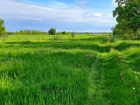 участок по адресу 