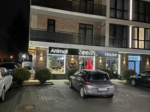 коммерческая по адресу с. Минай, Карпатского Патруса, 11А