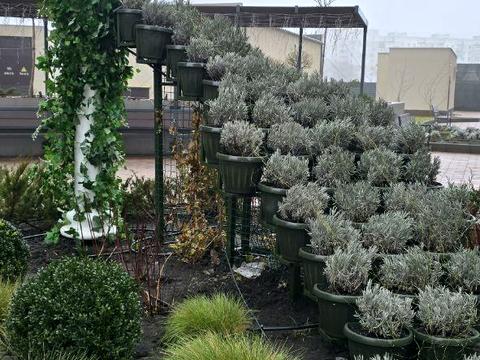 квартира за адресою Одеса, Краснова вул., 1-Б