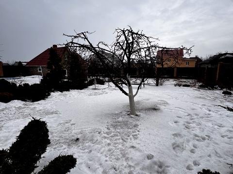дом по адресу Польова вул.Амосова