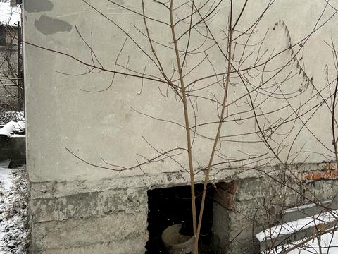 дом по адресу Подлесная ул.