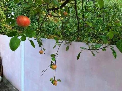 будинок за адресою Кар'єрна вул.