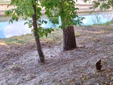 будинок за адресою Кар'єрна вул.