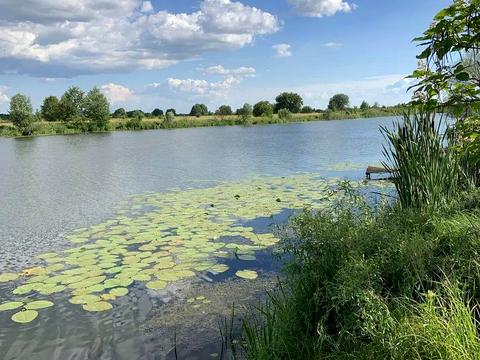 будинок за адресою Соснова вул.