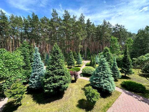 будинок за адресою Петровського