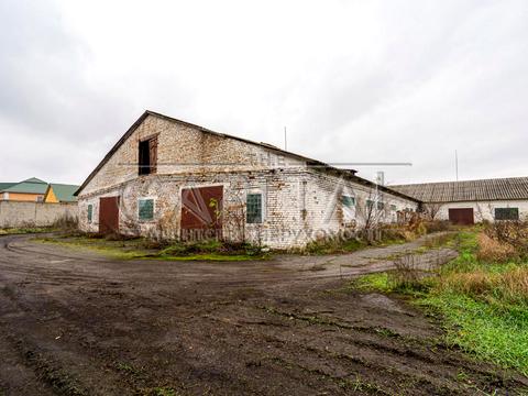 комерційна за адресою центральна, 2