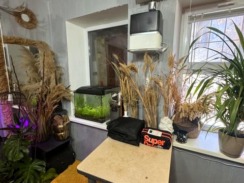 квартира за адресою Книжковий пров., 9