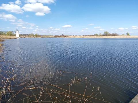 дом по адресу Набережна