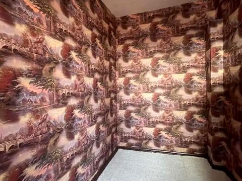 дом по адресу Весёлая ул., 52