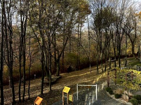 квартира по адресу Пасечная ул., 84а