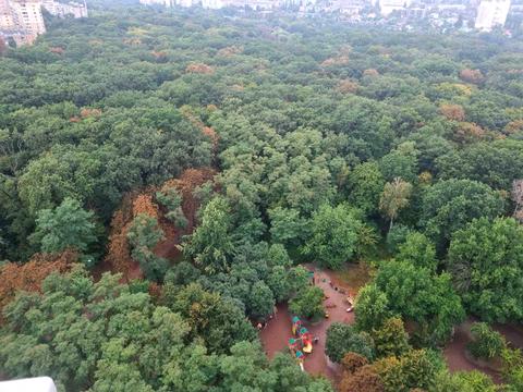 квартира по адресу Авиаконструктора Игоря Сикорского ул. (Танковая), 1-Б