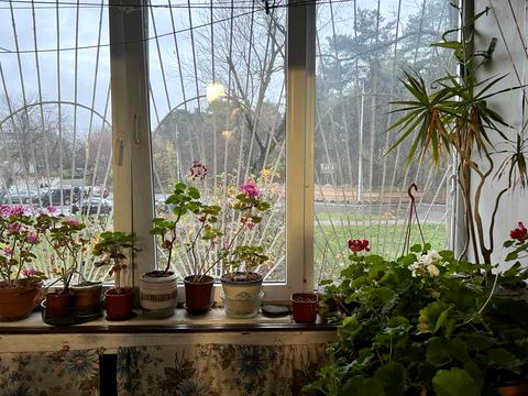 квартира за адресою Мілютенка вул., 44