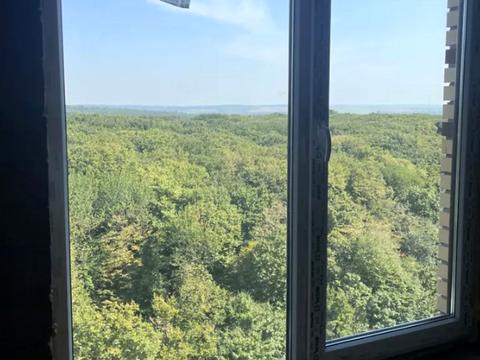 квартира за адресою Лісогринівецька вул., 20