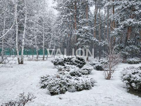 квартира за адресою Чехова вул., (Будинок 1)