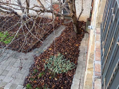 будинок за адресою Одеса, переулок Рассвета, 3