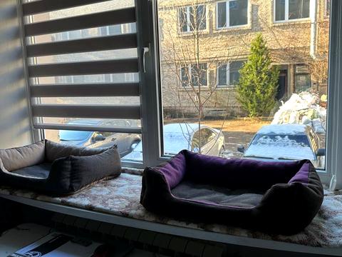 квартира за адресою Академіка Олександра Богомольця вул., 9а