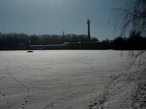 ділянка за адресою смт. Глеваха, Посольська
