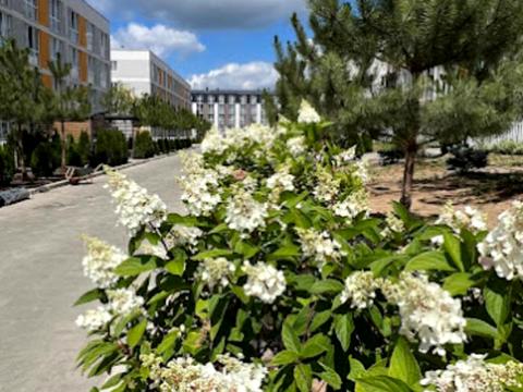 квартира по адресу  ул., 2