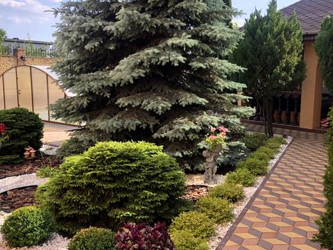 дом по адресу Лінія 6, 14
