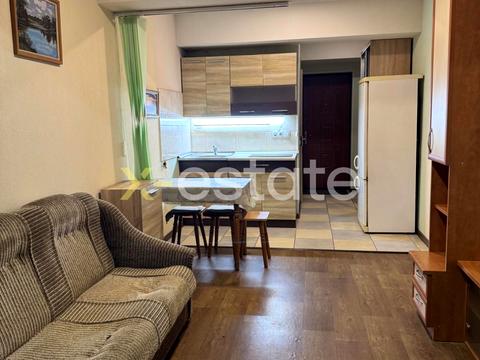 квартира по адресу Большая Панасовская ул. (Котлова), 106