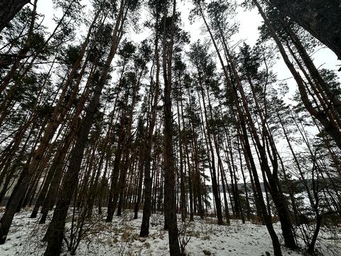 будинок за адресою Шевченка, 38