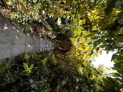 ділянка за адресою Львовская