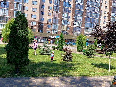 квартира за адресою Максима Шимка вул. (Карла Маркса), 20