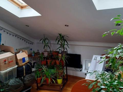 квартира за адресою Володимира Антоновича вул. (), 13