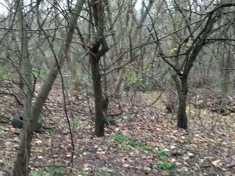 ділянка за адресою Київ, 