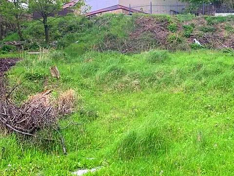 ділянка за адресою 